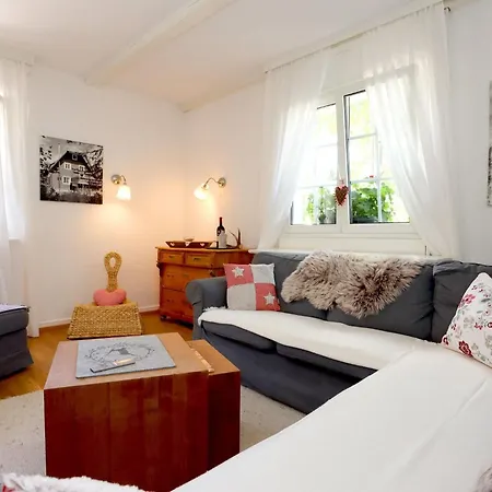 Schwarzwaldhaus St- Blasien- Direkt Am Bach By Interhome 度假居 圣布拉辛
