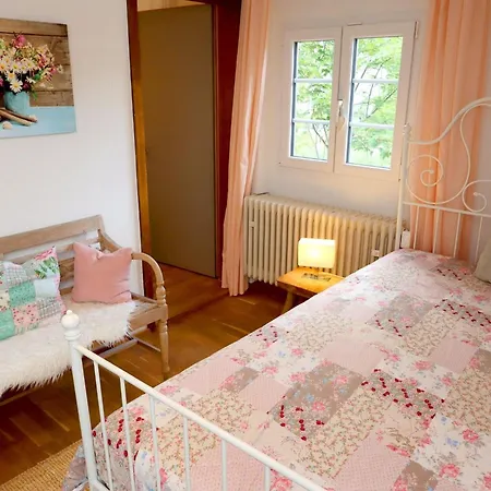 Schwarzwaldhaus St- Blasien- Direkt Am Bach By Interhome 度假居 圣布拉辛