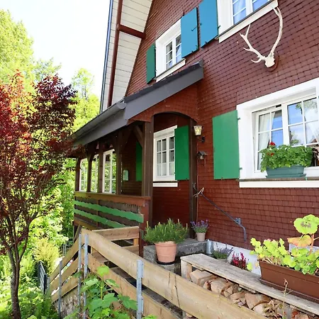 度假居 Schwarzwaldhaus St- Blasien- Direkt Am Bach By Interhome 圣布拉辛