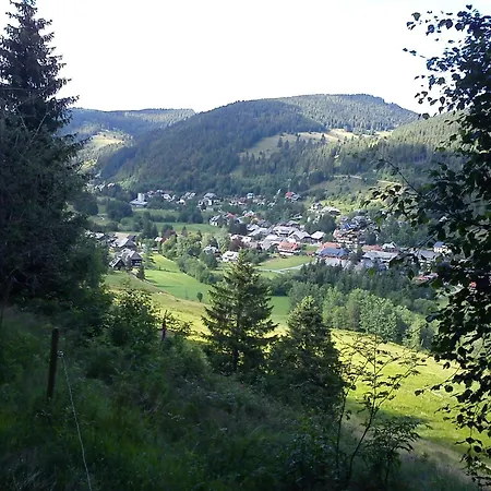 Schwarzwaldhaus St- Blasien- Direkt Am Bach By Interhome 圣布拉辛