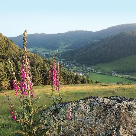 Schwarzwaldhaus St- Blasien- Direkt Am Bach By Interhome 度假居