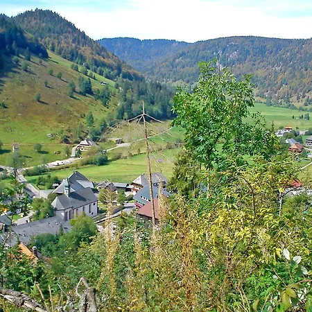 Schwarzwaldhaus St- Blasien- Direkt Am Bach By Interhome 度假居