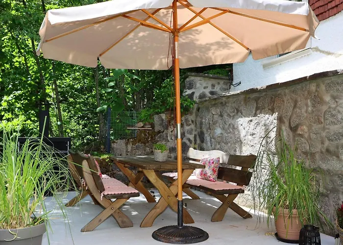 Schwarzwaldhaus St- Blasien- Direkt Am Bach By Interhome